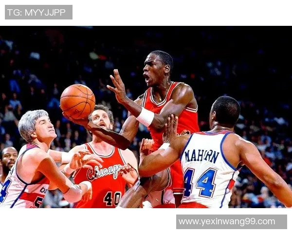 17号篮球明星的传奇之路与辉煌成就揭秘