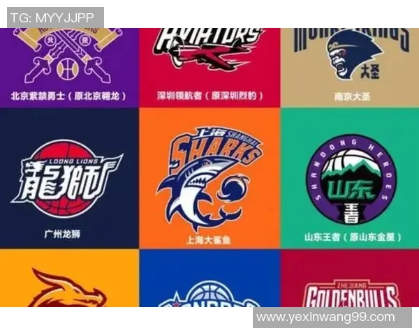 中国篮球明星属相牛的传奇故事与辉煌成就解析